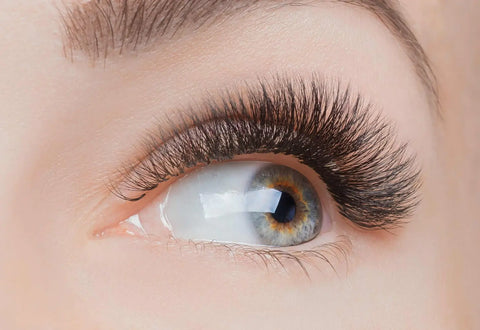 Hybrid Lash Extensions Guide: Volume Meets Natural Look