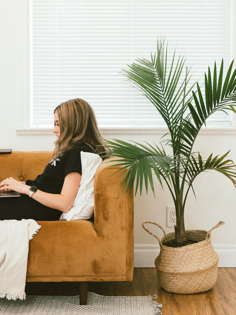 lashfx studio lash extension salon